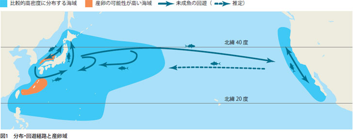 _[EBI[]©2ch.net	->摜>4 