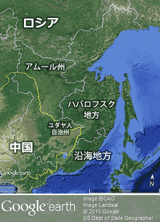 シベリアトラの増加を確認 推定個体数は最大で540頭 Wwfジャパン