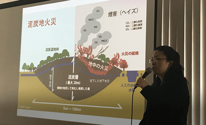 持続可能な消費を促進する法整備