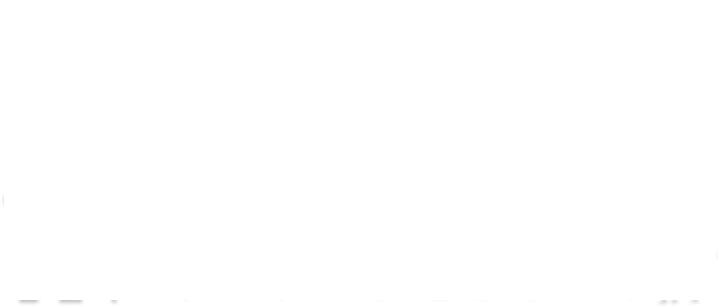 草原の国、ツルのふるさと　命が集う水目を守る