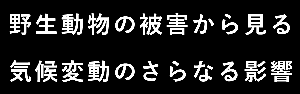 野生動物の被害から見る気候変動のさらなる影響