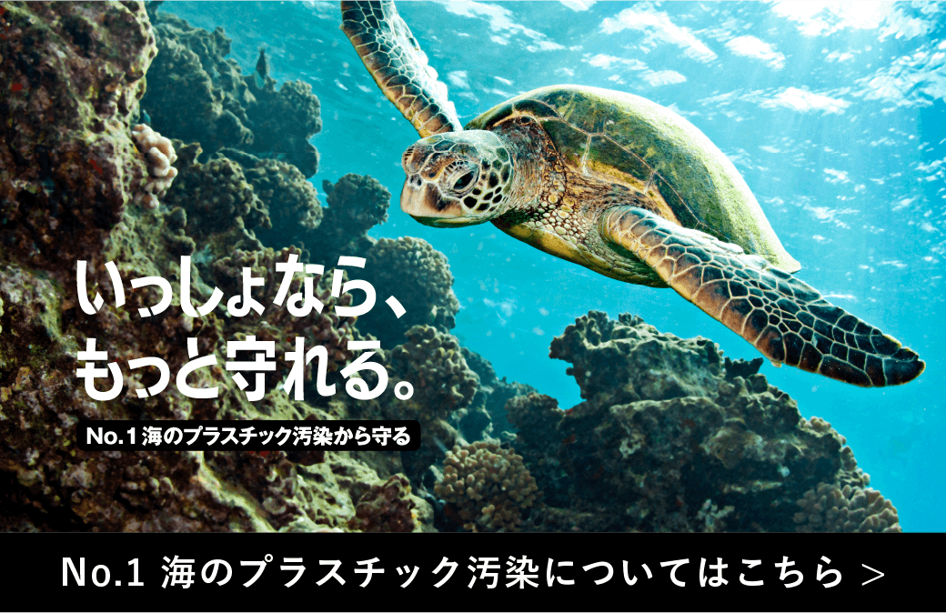 No.1 海のプラスチック汚染についてはこちら