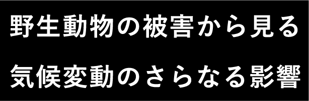 野生動物の被害から見る気候変動のさらなる影響