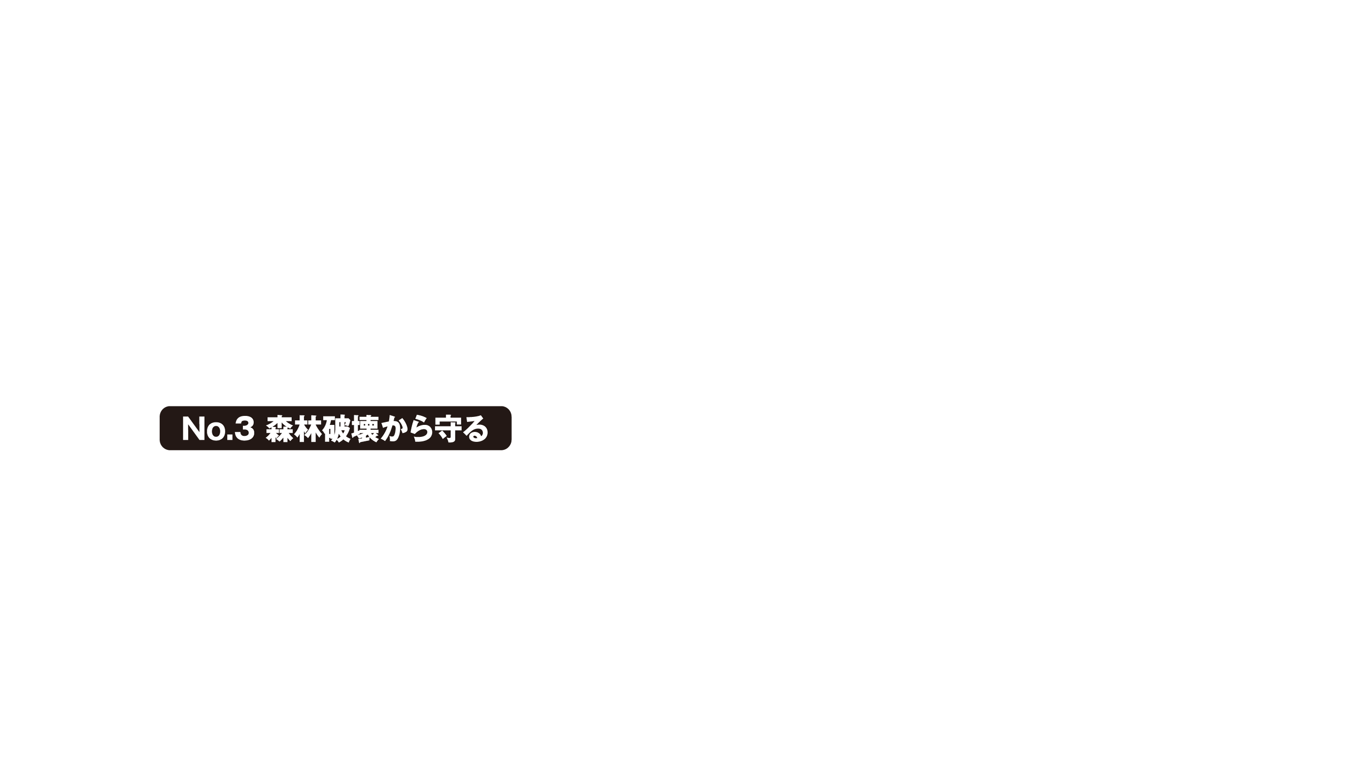 海洋プラスチックから守る