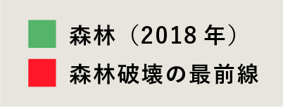 森林 (2018年) 森林破壊の最前線