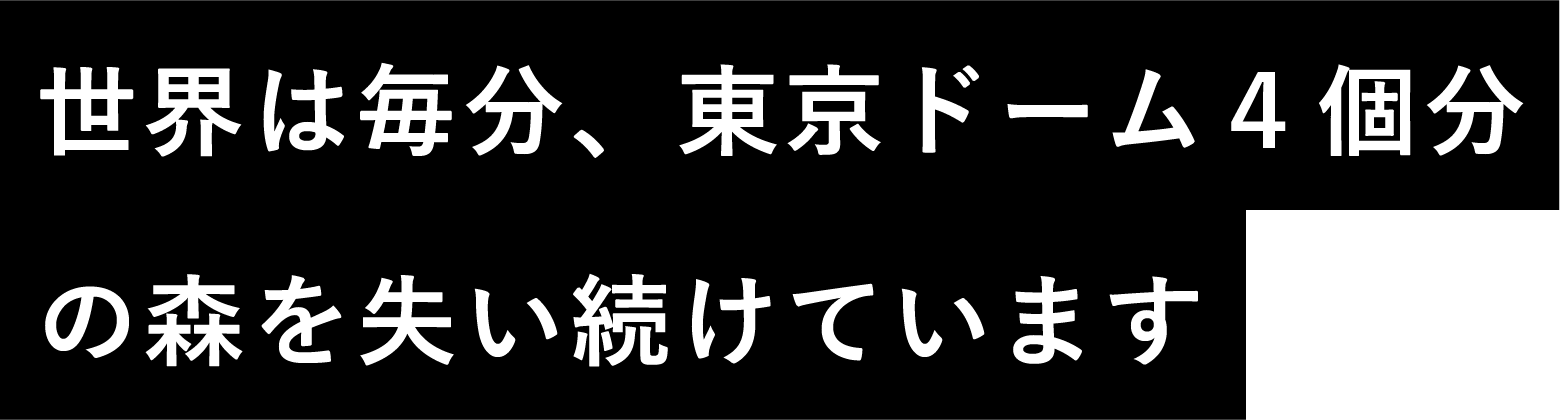 世界は毎分、東京ドーム４個分の森を失い続けています