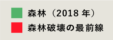 森林 (2018年) 森林破壊の最前線