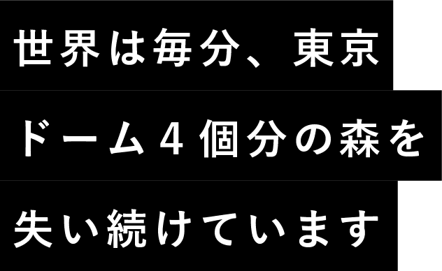 世界は毎分、東京ドーム４個分の森を失い続けています