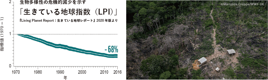 生きている地球指数（LPI）　６８％マイナス