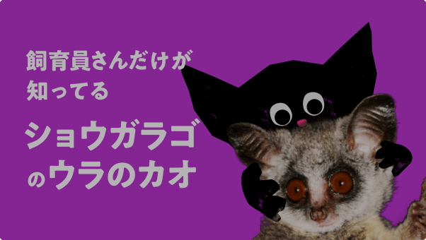 飼育員さんだけが知ってるあのペットのウラのカオ