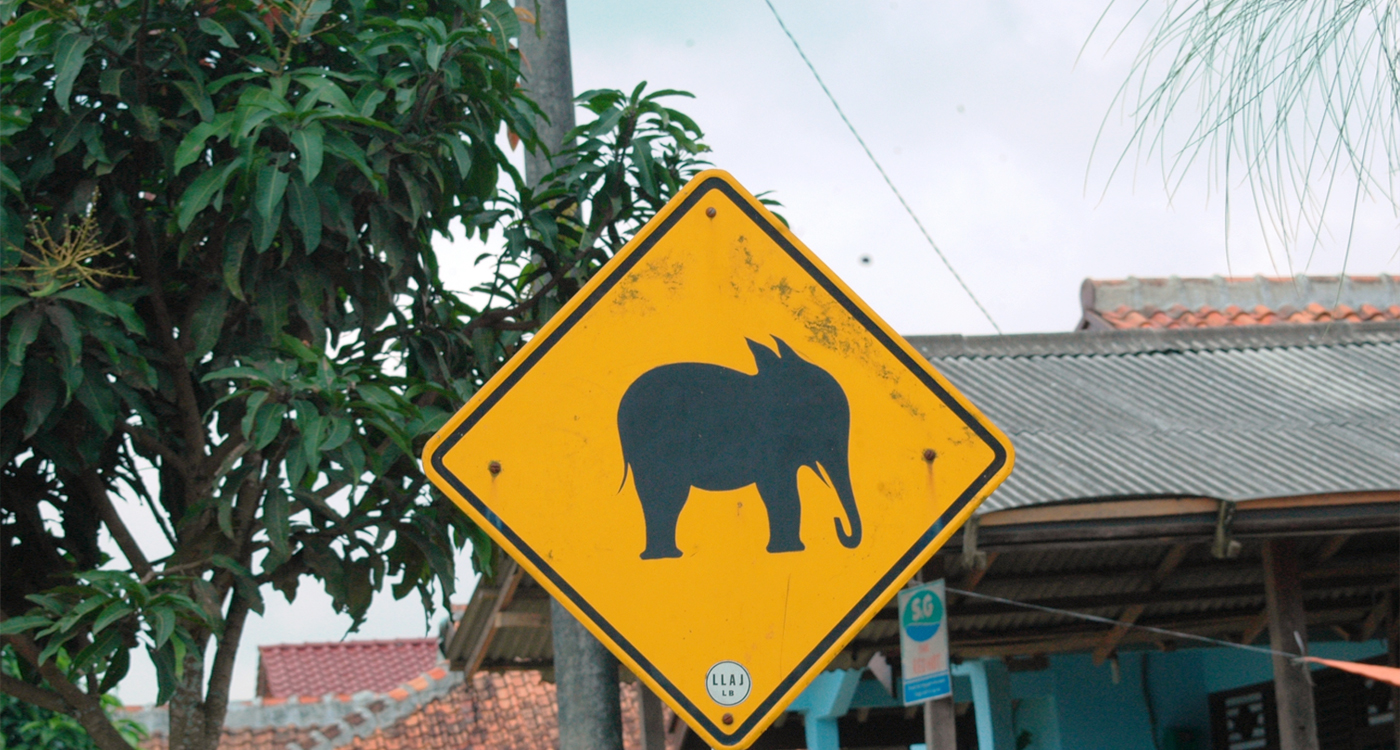 インドネシア 1957年 動物シリーズ高額・象 大型1000ルピア | en