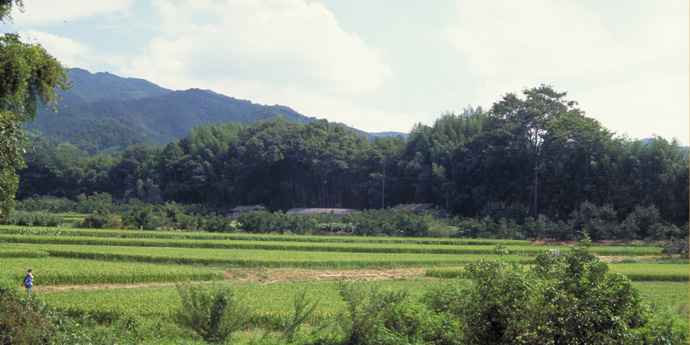 日本を代表する景色の一つ、里山の風景。