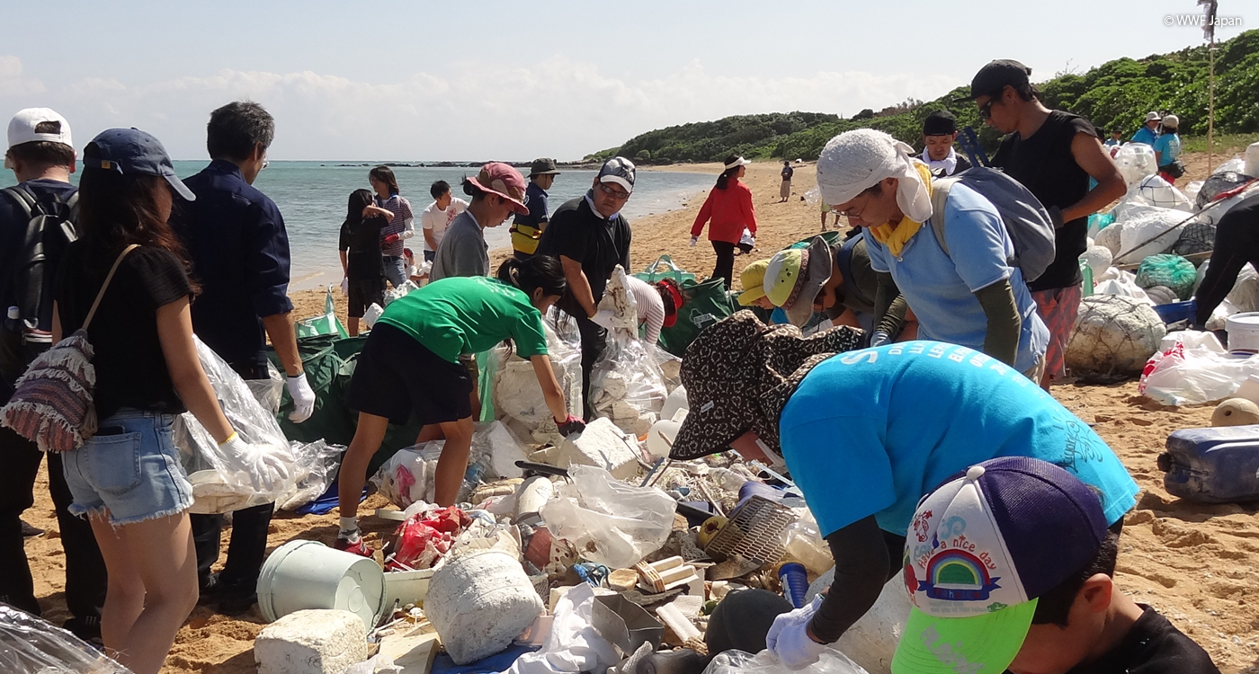 石垣島 平野海岸で海洋プラスチックを回収するビーチクリーンを実施 Wwfジャパン