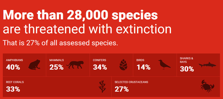 2019年「レッドリスト」更新 世界の絶滅危惧種は28,338種に ｜WWFジャパン