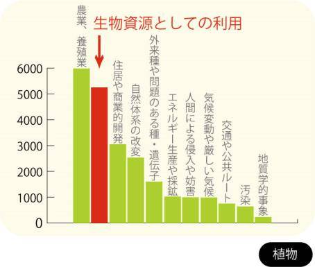 ワシントン条約 Cites とは その誕生と仕組みについて Wwfジャパン