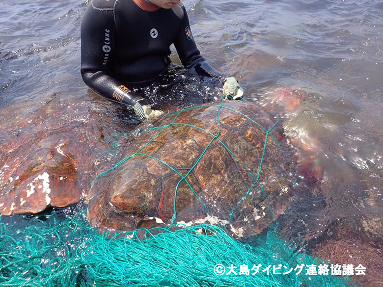 恐怖体験 海の 幽霊 Wwfジャパン