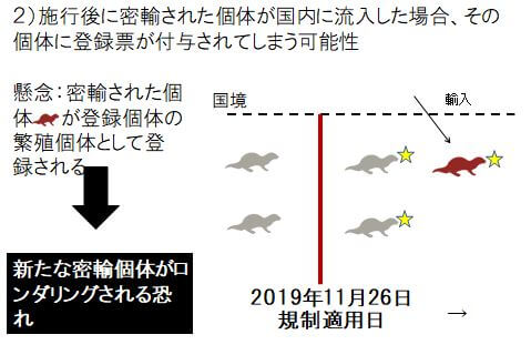 種の保存法」における「国際希少野生動植物種」の登録制度の課題 ｜WWFジャパン