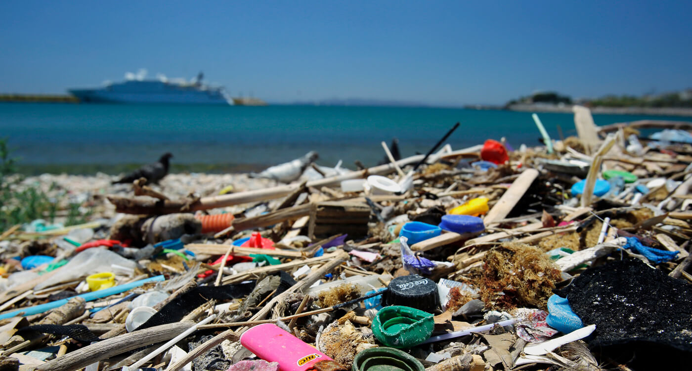 海の日に向け教材 海洋プラスチックごみについて考えよう を作成 Wwfジャパン