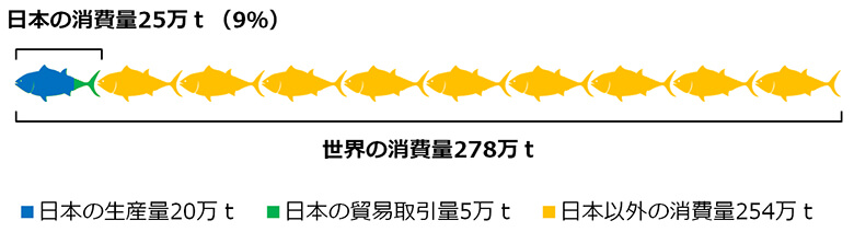 カツオという生物 その特徴と漁獲 消費量 Wwfジャパン