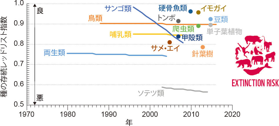 過去50年で生物多様性は68 減少 地球の生命の未来を決める2020年からの行動変革 ｜wwfジャパン