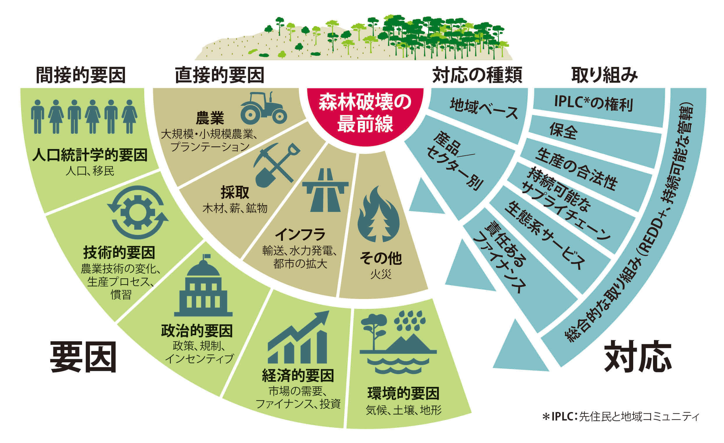 動画あり 森林破壊の最前線 最新報告書を発表 Wwfジャパン