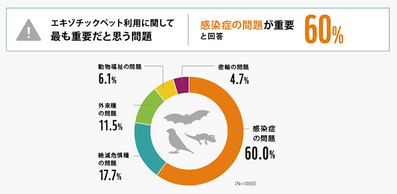 希少動物 ペット 問題