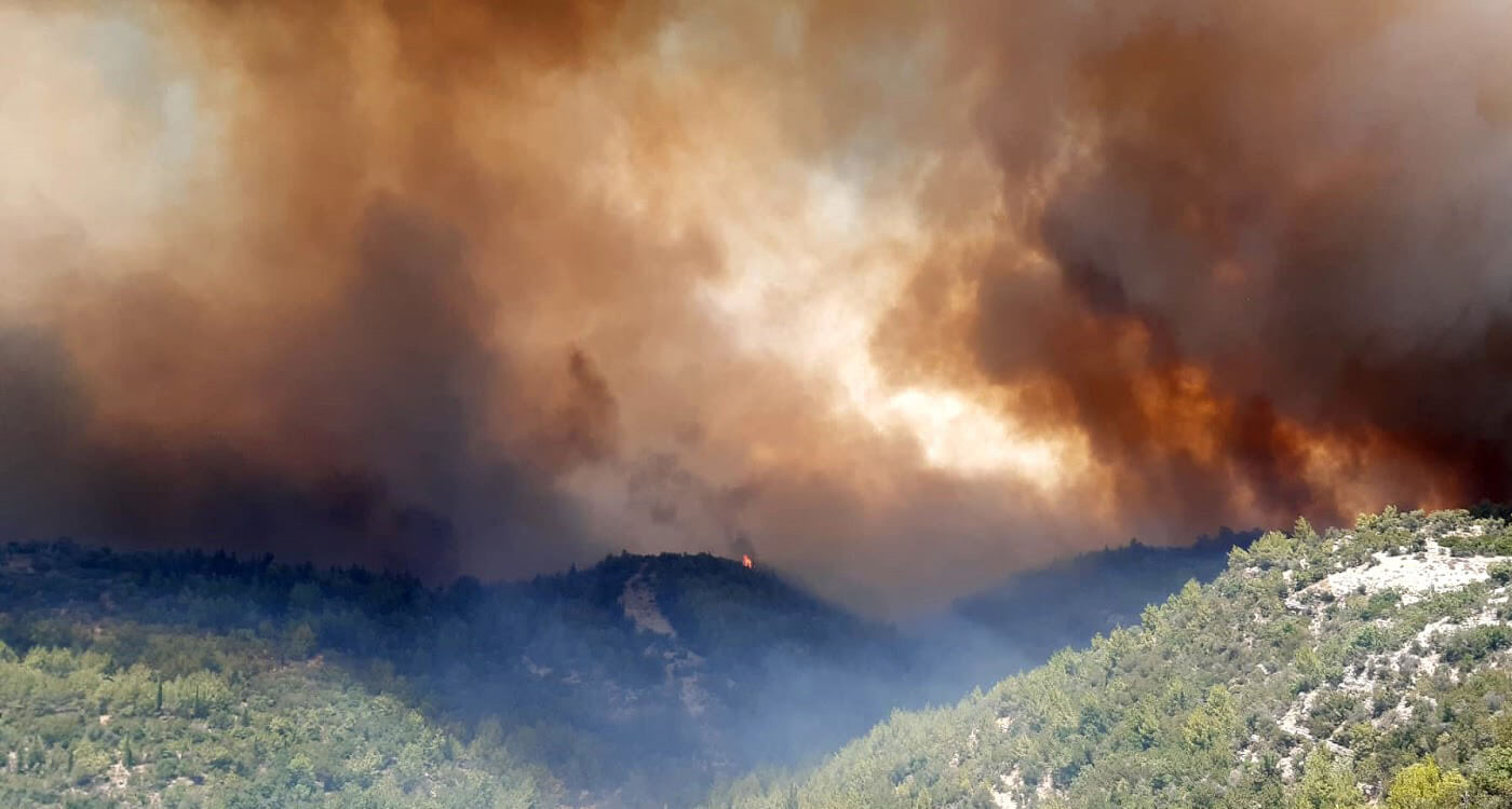 募金のお願い トルコとギリシャにおける山火事への緊急支援活動 Wwfジャパン