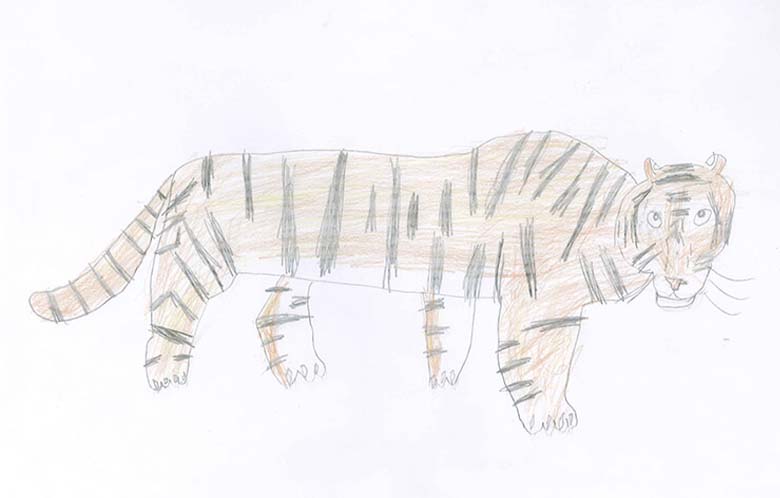 WWFジュニア会員が描いたトラの絵、大公開！ ｜WWFジャパン
