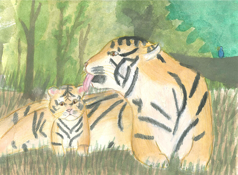 WWFジュニア会員が描いたトラの絵、大公開！ ｜WWFジャパン