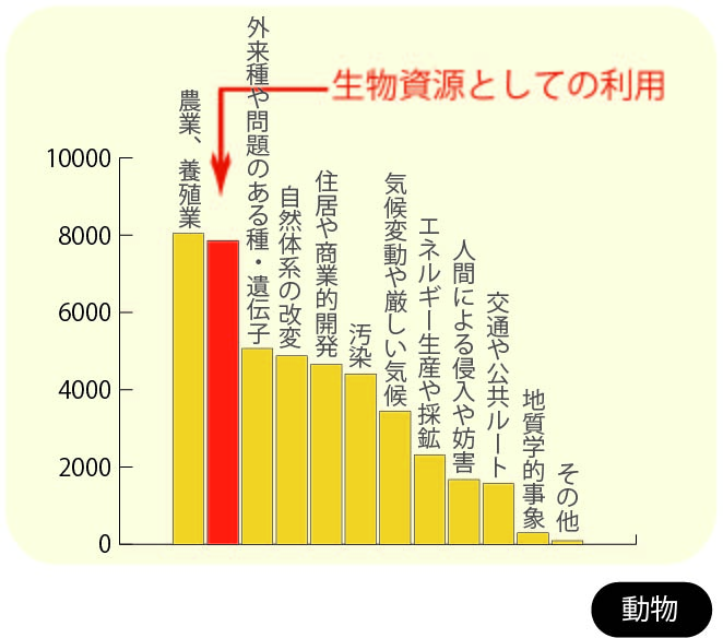 ワシントン条約（CITES）とは？その誕生と仕組みについて ｜WWFジャパン