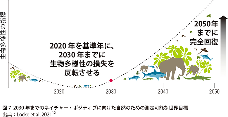 はじめての 『生物多様性』～今おさえておきたいポイントをわかりやすく簡単に解説 ｜注目の活動特集｜wwfジャパン