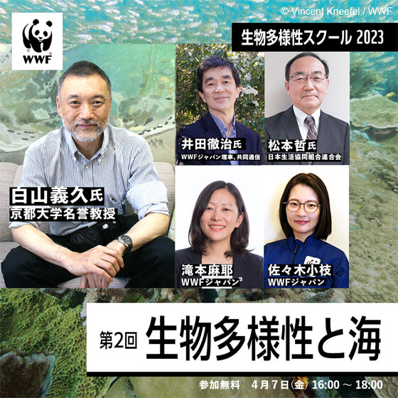 生物多様性スクール2023第2回「生物多様性と海」開催報告 当たり前ではない「海の恵み」を未来へ受け継ぐ ｜wwfジャパン