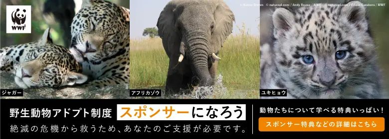 【寄付のお願い】スポンサーになろう|野生動物アドプト制度