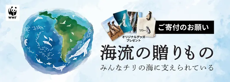 海流の贈りもの