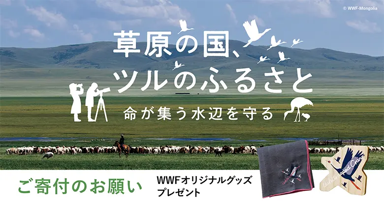 草原の国、ツルのふるさと