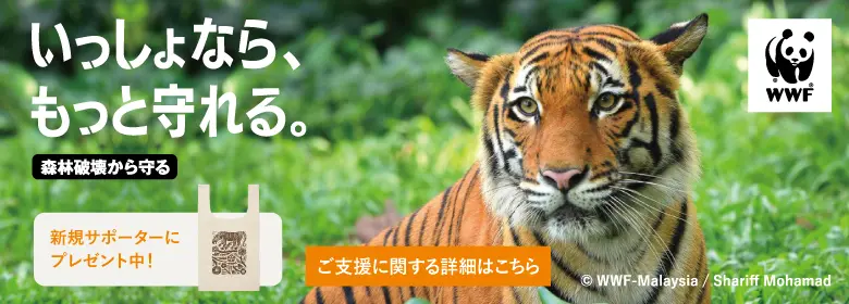森林破壊から守るキャンペーンバナー