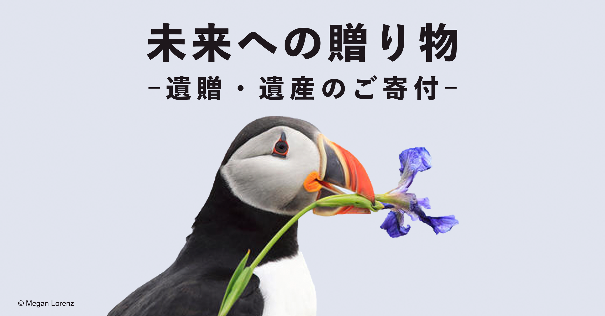 遺贈・遺産の寄付