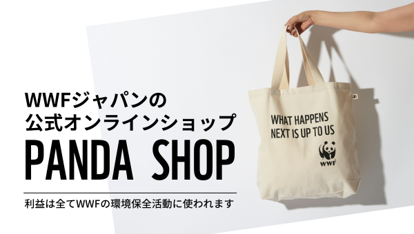 ご寄付のお願い:地球のことがわたしたちの仕事です