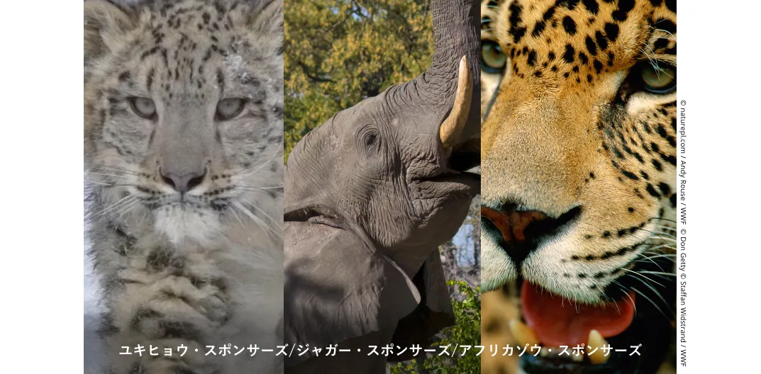 「アドプト制度」が月1,000円からご支援いただけるようになりました。